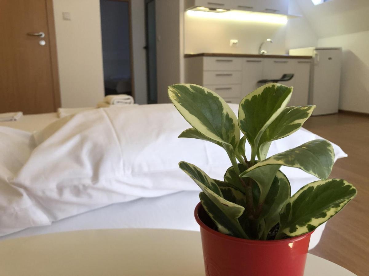 Aparthotel Elly Pomorie Exterior foto